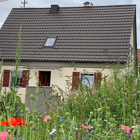 Ferienhaus Bei Lauingen, Mit Sauna Und Gartenlounge Veitriedhausen Exteriör bild