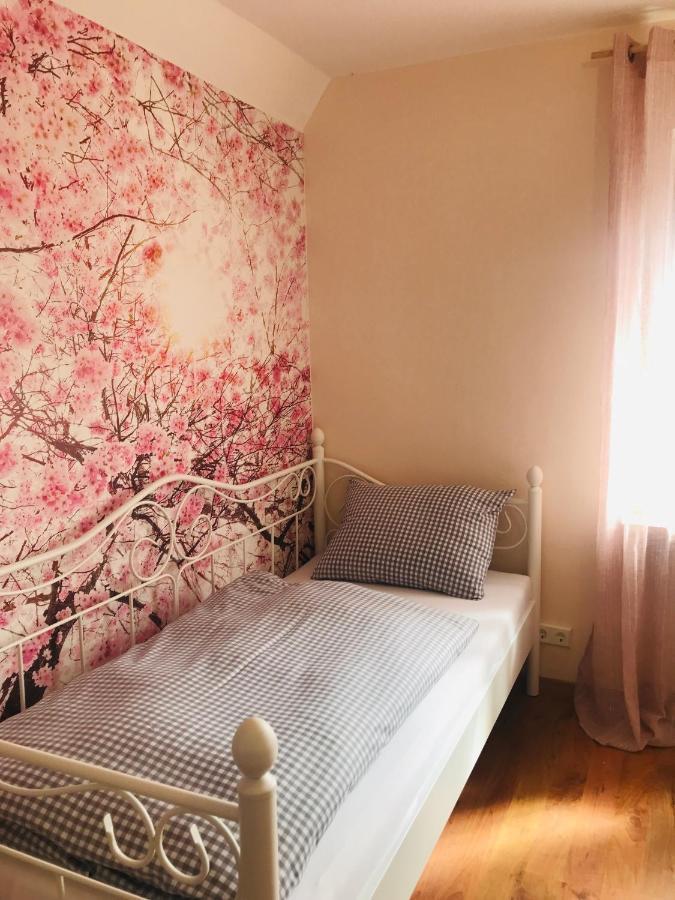 Ferienhaus Bei Lauingen, Mit Sauna Und Gartenlounge Veitriedhausen Exteriör bild